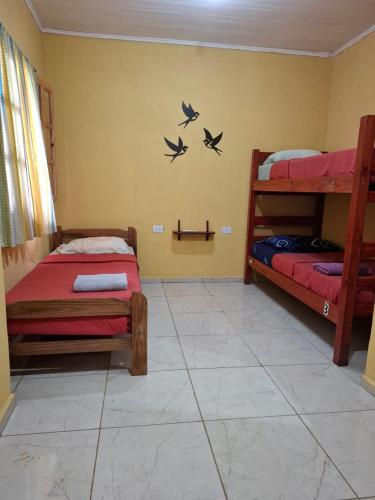 Nomads Hostel – Puerto Iguazu, FL