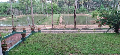 Blooms Aquatica in Nadavayal