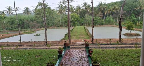 Blooms Aquatica in Nadavayal