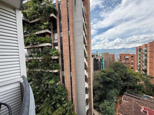 Ac, fast wifi 400 mg, quiet, nature in El Poblado, Medellín (fotografie 8)