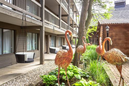 景色, オールド ストーン イン ブティック ホテル (Old Stone Inn Boutique Hotel) in ナイアガラ フォールズ（ON）