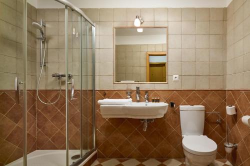 Pension Rozmarýna - image 13