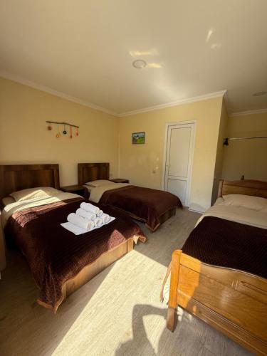 Hotel Villa Eniseli in Ενισέλι