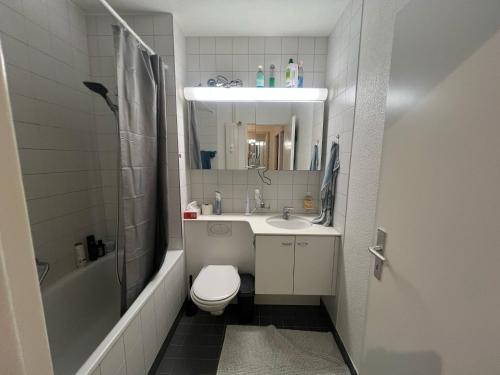 Möbelierte Wohnung mit Balkon zwischen Bahnhof und St Jakob, Basilea (foto 5)