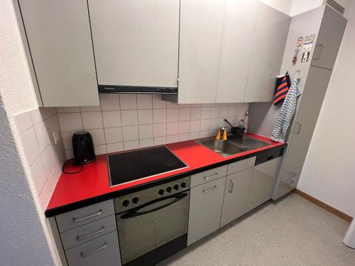 Möbelierte Wohnung mit Balkon zwischen Bahnhof und St Jakob, Basilea (foto 9)
