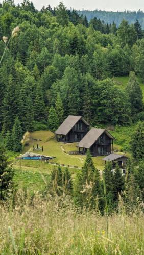 Cottages Shepit Lisu in Oryavchyk