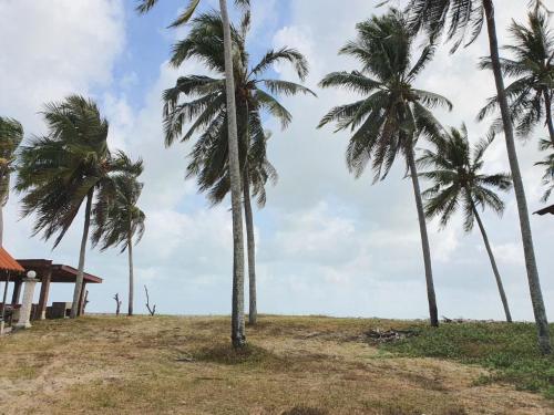 ogród, BAYU BEACH CHALET PCB in Pantai Cahaya Bulan (PCB)