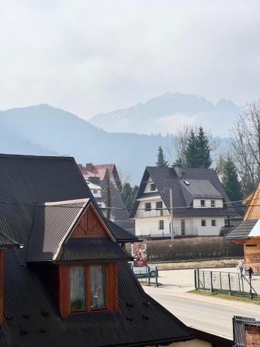 Willa Owca i Baran, Zakopane (fotografie 9)