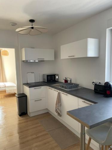 ห้องครัว, Hestia Résidence - Saint-Louis & Basel (Hestia Residence - Saint-Louis & Basel) near สนามบินยูโรบาเซล-มุลเฮาส์-ไฟรบวร์ค