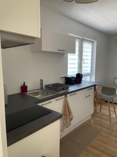 ห้องครัว, Hestia Résidence - Saint-Louis & Basel (Hestia Residence - Saint-Louis & Basel) near สนามบินยูโรบาเซล-มุลเฮาส์-ไฟรบวร์ค