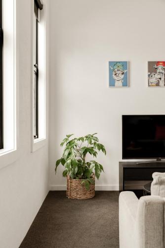 NEW - Middle of CBD Fresh 1BR Apt!, Gisborne (zdjęcie 5)