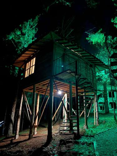 Eco Hotel Nigüíto, Medellín (photo 10)