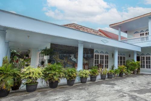 OYO Life 92803 Penginapan Purnama
