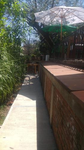 Palmira 3