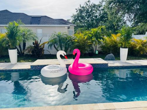 Luxury Home W Heated PoolNear IMG & Siesta Key Beach