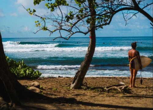 Nabij attractie, Résidence TARTANE - Apt ZANDOLI - Vue Mer (Residence TARTANE - Apt ZANDOLI - Vue Mer) in La Trinite