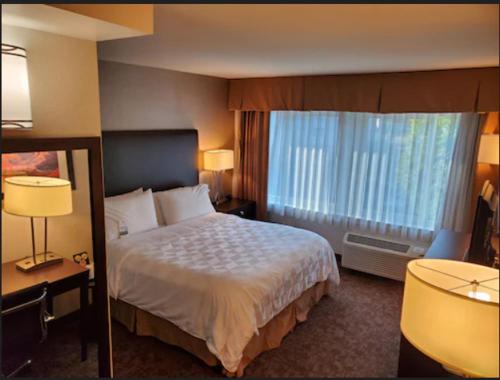 Standard King Room