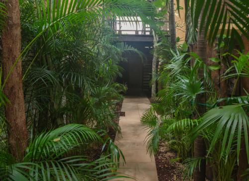 Charming Tulum Getaway in Prime Location Room Type - Two-Bedroom Apartment