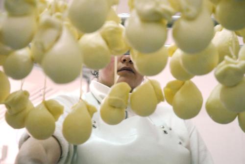 马赛利亚圣卢西亚酒店