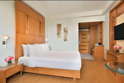 Ramada By Wyndham Jaipur, Jaipur (photo 8)