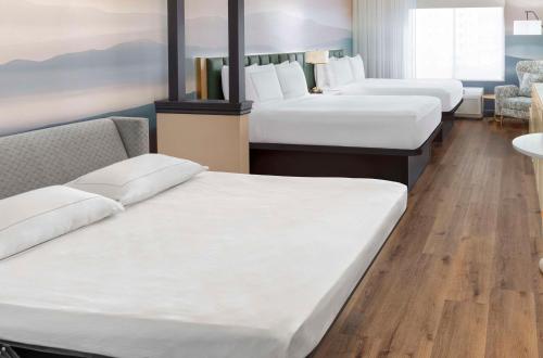 2 queen beds, 1 sofa bed