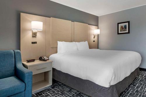 Comfort Inn - Cape Cod Hyannis - main image