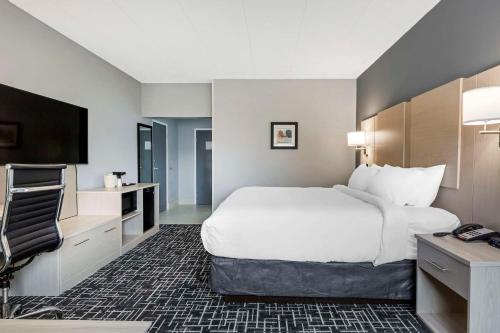 Comfort Inn - Cape Cod Hyannis - image 6