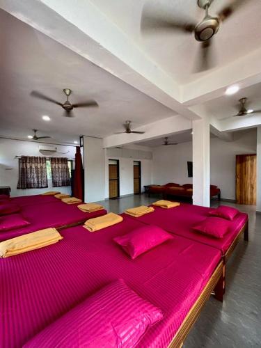 Mixed Dormitory Room image 1
