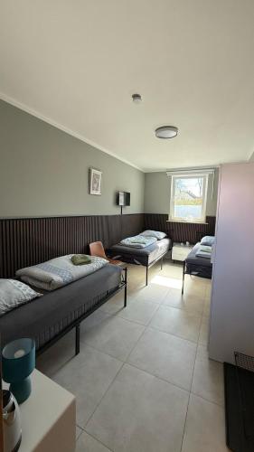 Hostel54, Norimberk (fotografie 8)
