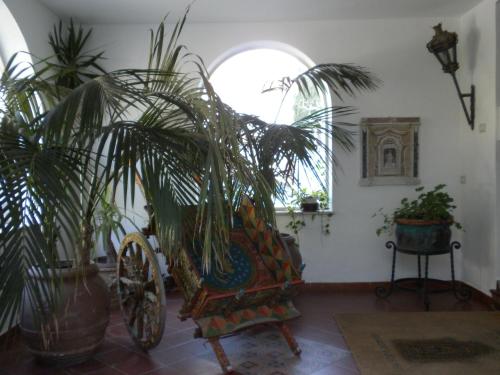 Arathena Rocks Hotel - image 7