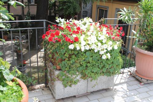 Hotel Centrale Bellagio - image 5