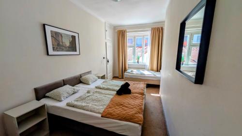 Flat in Zizkov -401-, Praga (foto 9)