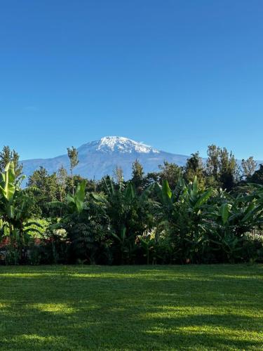 Shose Farmhouse Chalets & Campsite, Moshi Rural