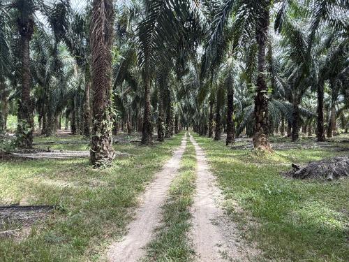 Sai Rung Farmstay สายรุ้ง ฟาร์มสเตย์ in Nuea Klong