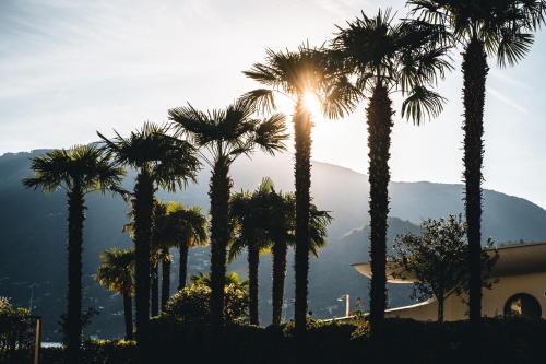 Zunanjost, Eden Roc Marina Hotel in Ascona