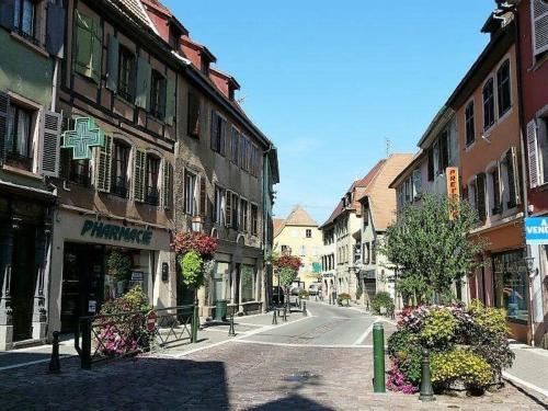 Studio L'epicea Climatisation Sejour Parfait in Soultz-Haut-Rhin