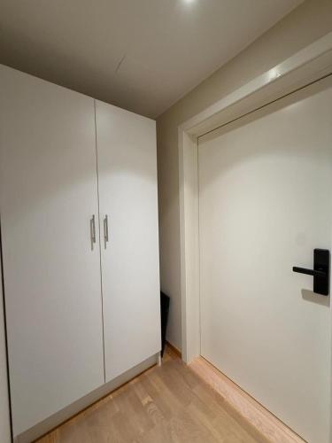 PP1b-Central-Cosy studio flat Suits globetrotters, Oslo (photo 3)