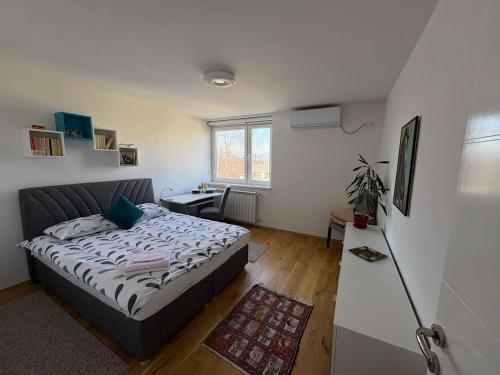 Apartment Mona