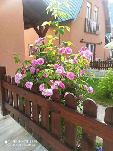 Holiday home Ivana - image 7