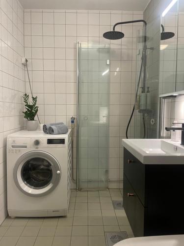 Modern and cozy apartment near the city centre, Oslo (zdjęcie 6)