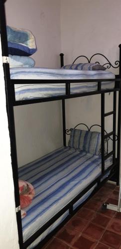 aline hostel 2, Chefchaouen (photo 6)