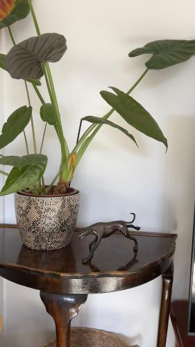 A beautiful luxury home in South Downs & coast A beautiful luxury home in South Downs & coast