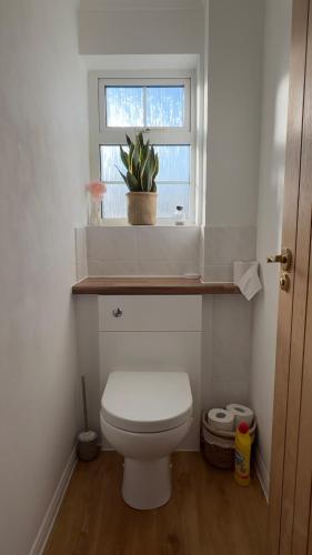 A beautiful luxury home in South Downs & coast A beautiful luxury home in South Downs & coast