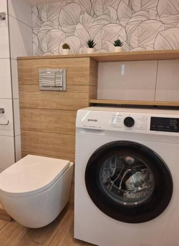 Apartament Trzcinowy
