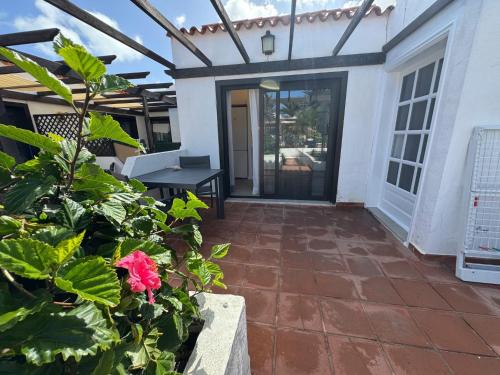 La Concha del Mar - image 8
