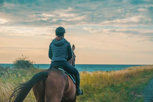 Hotellet från utsidan, Bauernhof Lafrenz Ferienhaus Rose in Klausdorf
