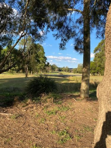 Parkview, Bowral (zdjęcie 5)