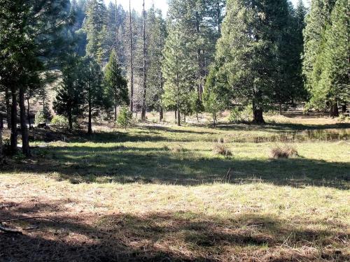 Charming Cabin for Sierra Nevada Getaways Charming Cabin for Sierra Nevada Getaways