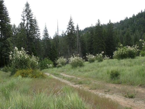 Charming Cabin for Sierra Nevada Getaways Charming Cabin for Sierra Nevada Getaways