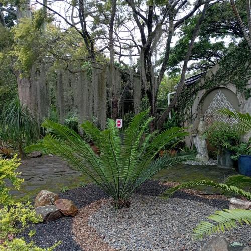 Avondale, Richards Bay (fotografie 8)